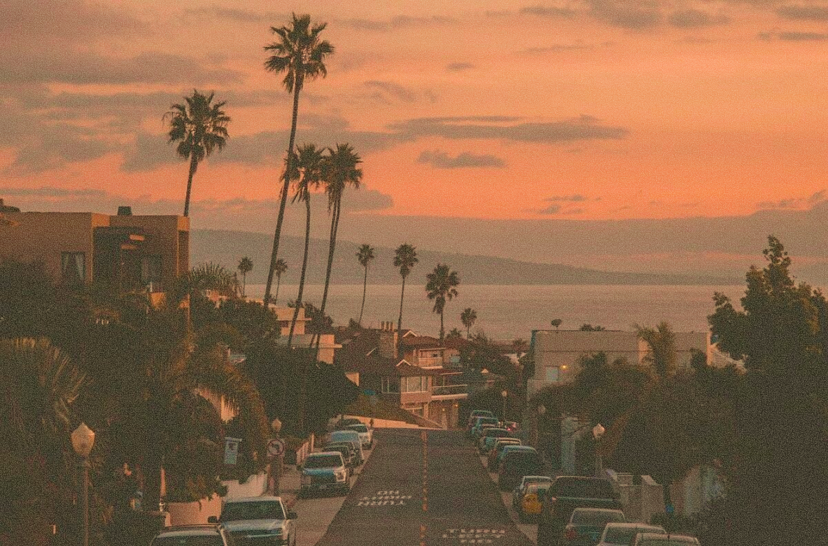 Sunset over palm-lined street